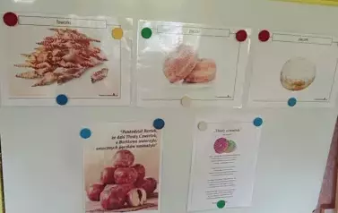 zdjęcie tablicy tamatycznej z pązkami i faworkami