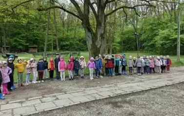 Wycieczka do lasu 2