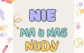 WhatsApp Image 2026-01-29 at 07.32.39 (4)