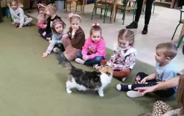 Dzieci na zajęciach z kotami 5