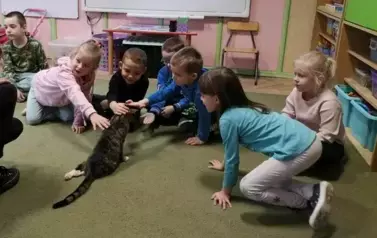 Dzieci na zajęciach z kotami 3