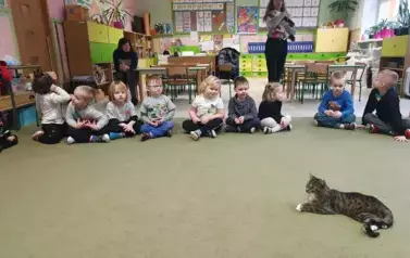 dzieci patrzą na kotka