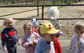 dzieci i koń
