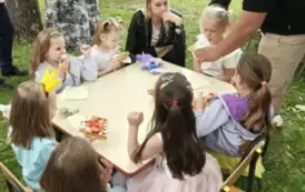 Piknik 5