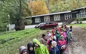 Wycieczka do lasu 2