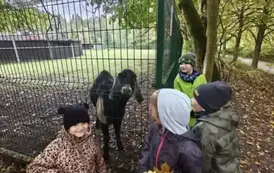 Wycieczka grupy V do lasu 5