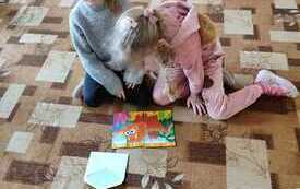 WhatsApp Image 2026-02-26 at 10.04.15 (2)