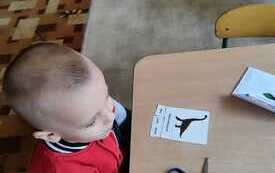 WhatsApp Image 2026-02-26 at 10.04.07