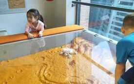 WhatsApp Image 2026-03-04 at 16.22.38 (3)