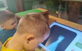 WhatsApp Image 2026-03-04 at 16.20.47 (1)