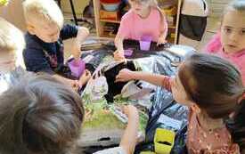 WhatsApp Image 2026-03-12 at 14.23.00 (1)