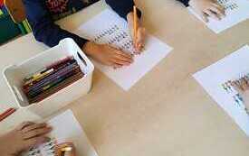 WhatsApp Image 2026-03-12 at 14.22.51