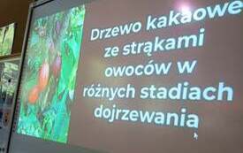 ac60da69-7a8c-4b50-8149-e665602f2309