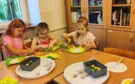 WhatsApp Image 2026-06-23 at 12.15.04.jpeg