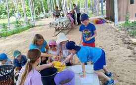 WhatsApp Image 2026-06-19 at 15.35.34 (1).jpeg