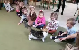 Dzieci na zajęciach z kotami 5