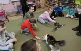 Dzieci na zajęciach z kotami 4