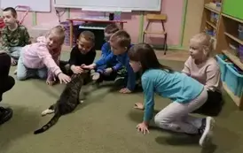 Dzieci na zajęciach z kotami 3