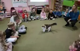 Dzieci na zajęciach z kotami2