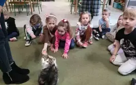 Dzieci na zajęciach z kotami 6