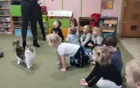 Szymek idzie do kota