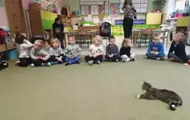dzieci patrzą na kotka