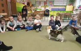 Dzieci głaszczą kotkę Słonko